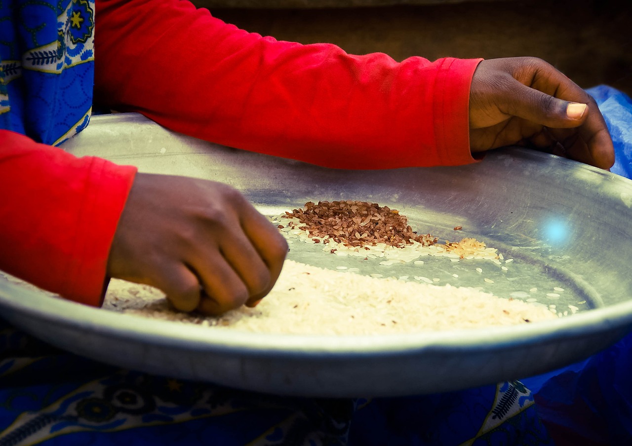 Ghanese keuken bereiden Gari