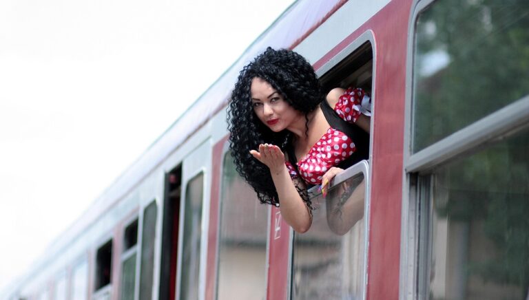 Reiziger naar Expat