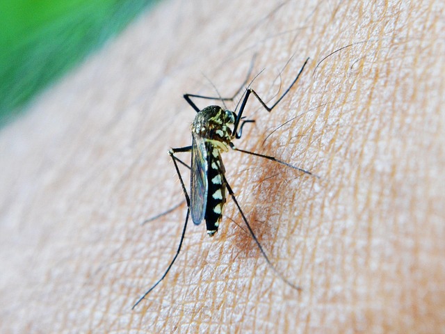 Malaria Schokkende ervaring