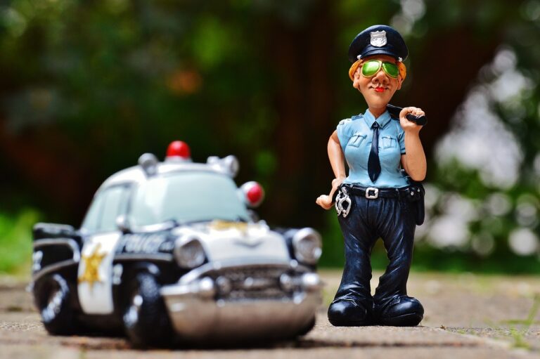 De Politie: Vriend of Vijand?