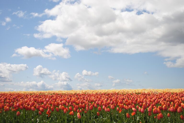 buiten leven